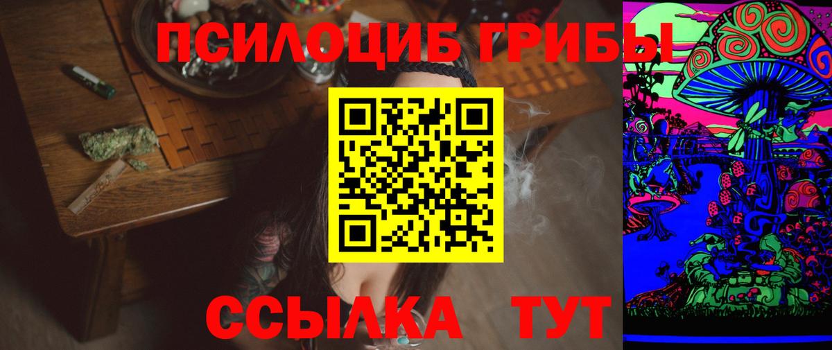Псилоцибиновые грибы Psilocybe  Вход с VPN  Сатка 